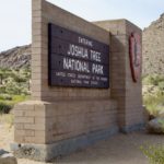 ジョシュアツリー国立公園　完全ガイド【Joshua Tree National Park】